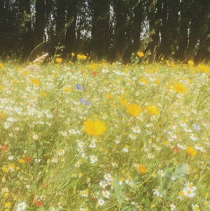 Meet your Posher, Chloe